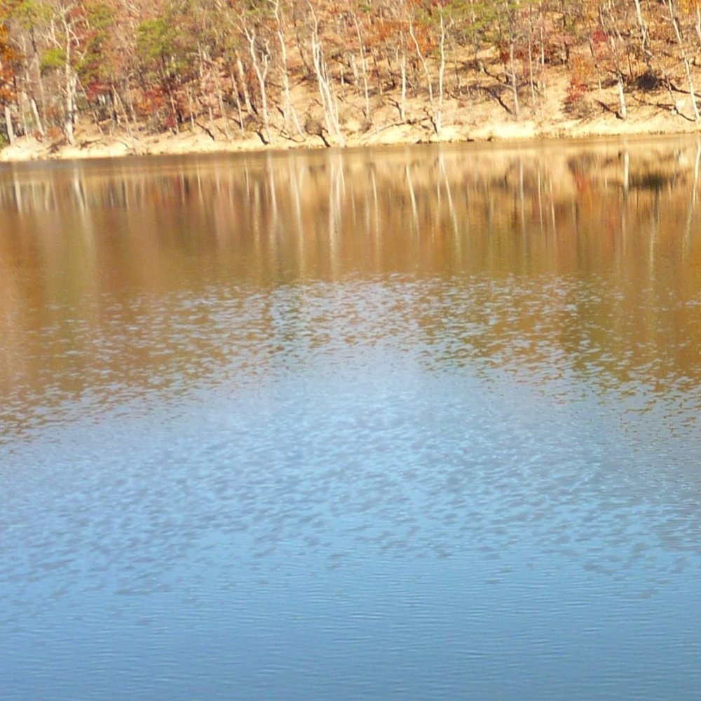 Meet your Posher, Ruth